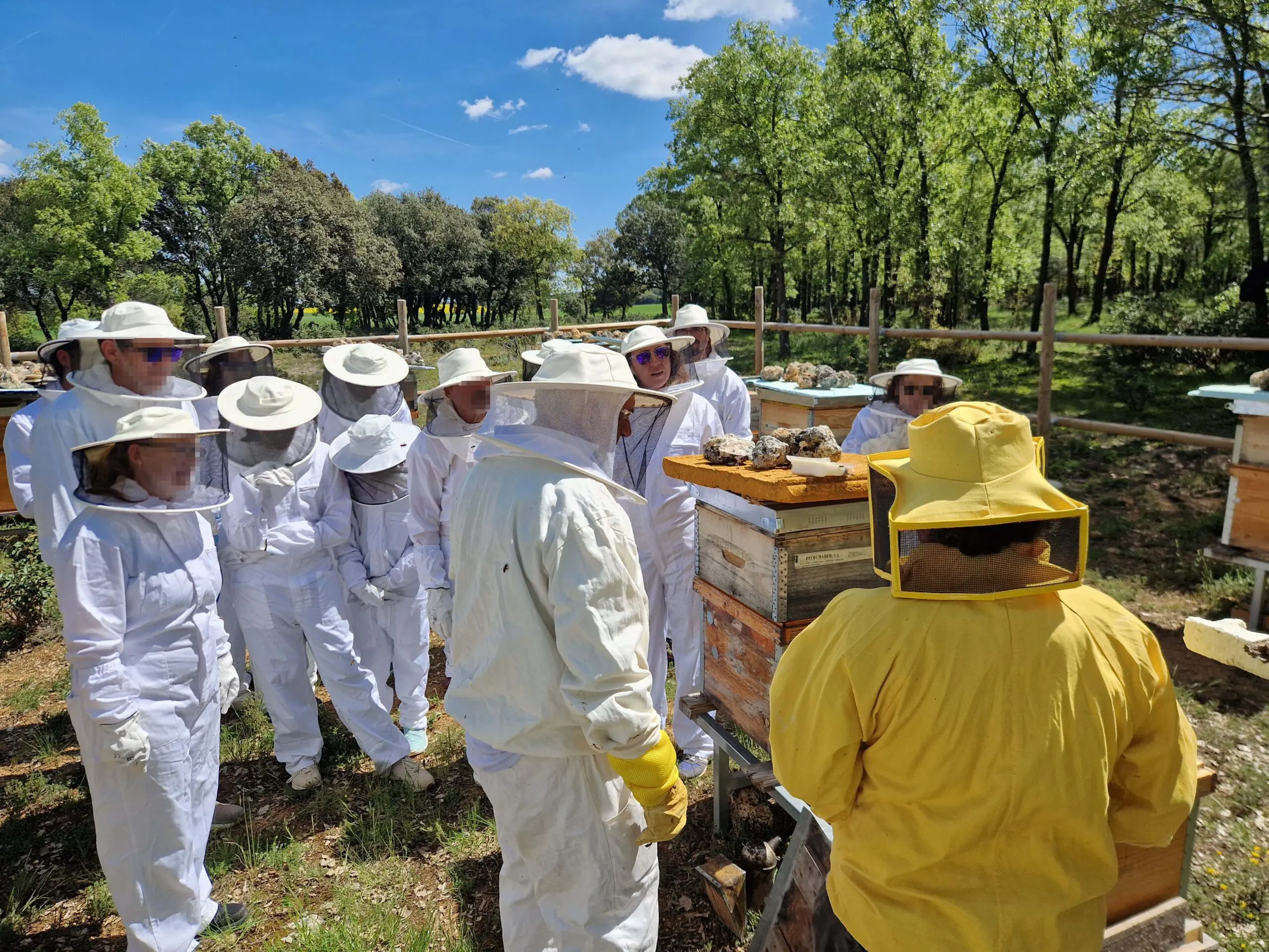 Dia_Mundial de las Abejas 1