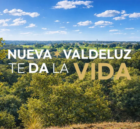 Nueva Valdeluz